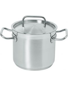 Pan RVS 20 liter Ø 32 cm (inductie)